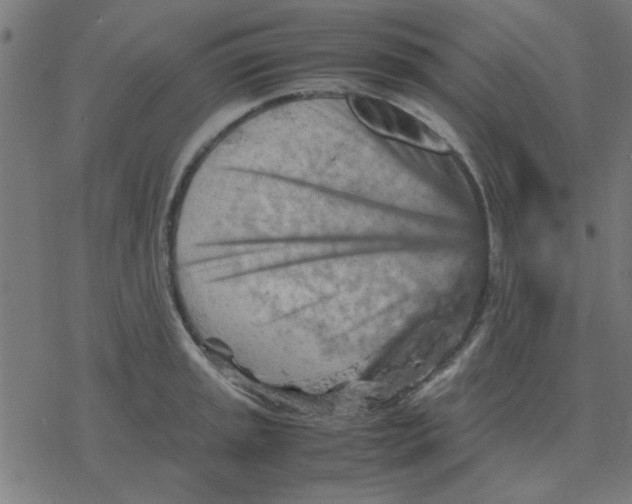 X0000077391045200611101749