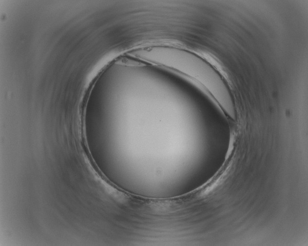 X0000077391046200611101749