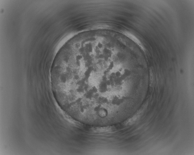 X0000077391047200611101749