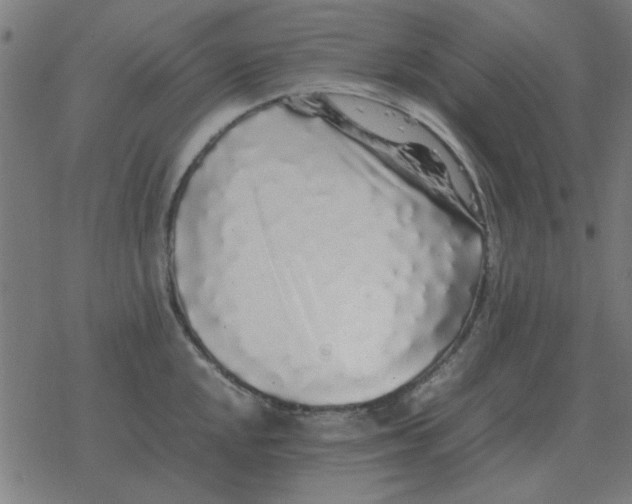 X0000077391048200611101749