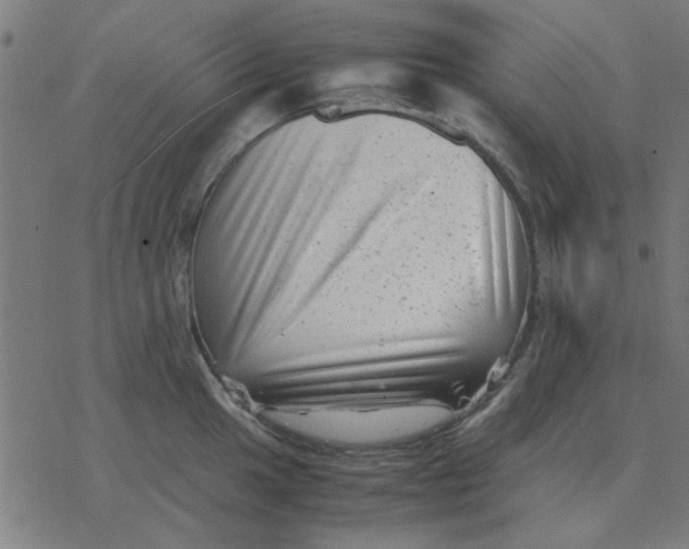 X0000077391049200611101749