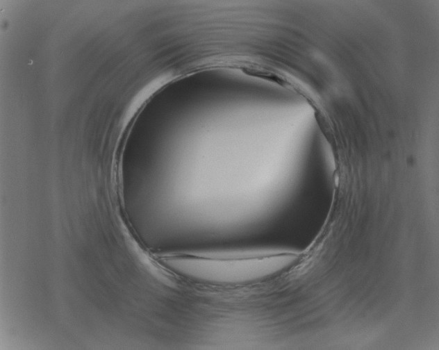 X0000077391050200611101749