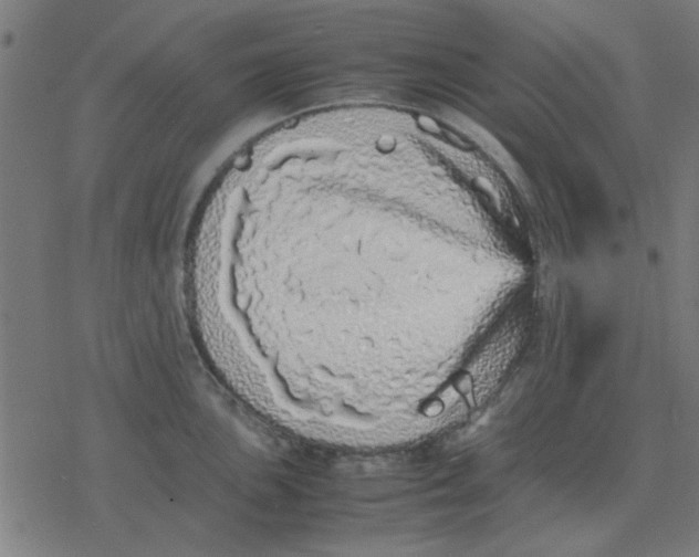 X0000077391051200611101749