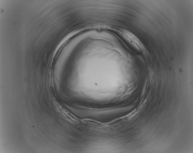 X0000077391052200611101749