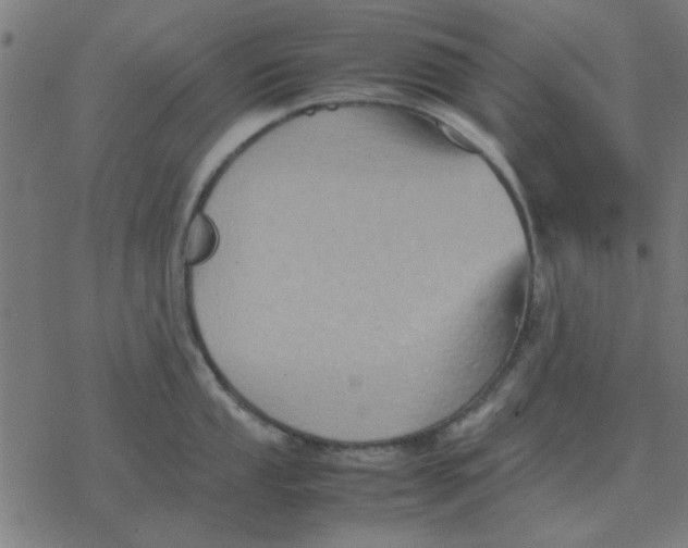 X0000077391053200611101749