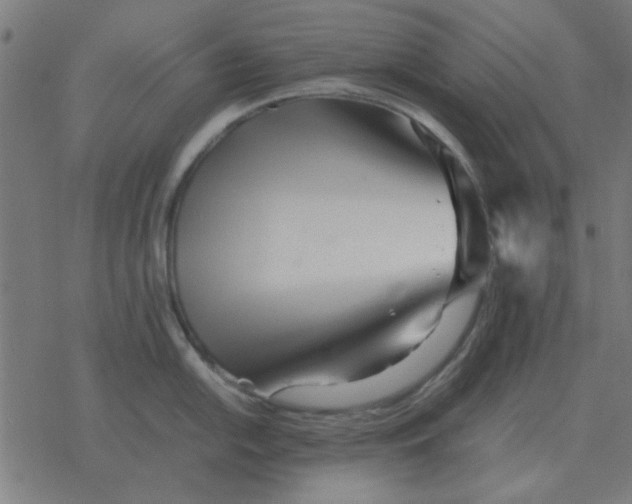 X0000077391054200611101749