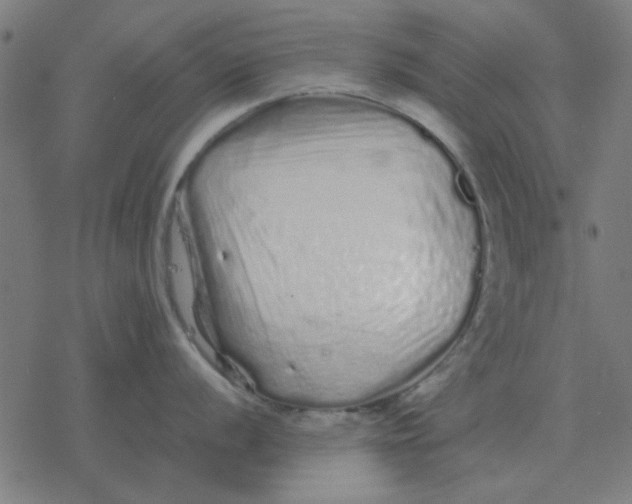 X0000077391056200611101750