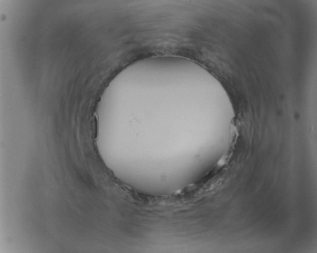 X0000077391057200611101749