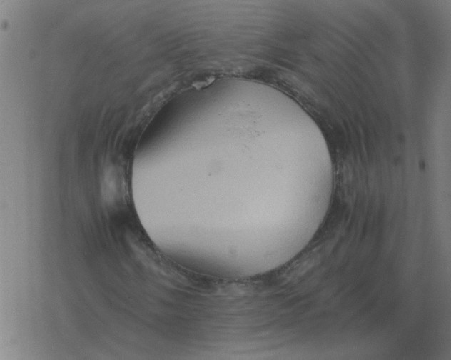 X0000077391058200611101749