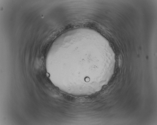 X0000077391059200611101749