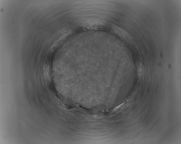 X0000077391060200611101749