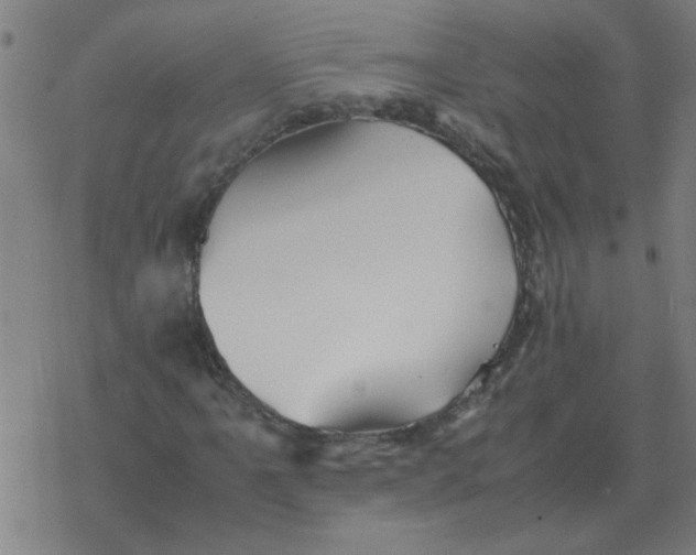 X0000077391061200611101749