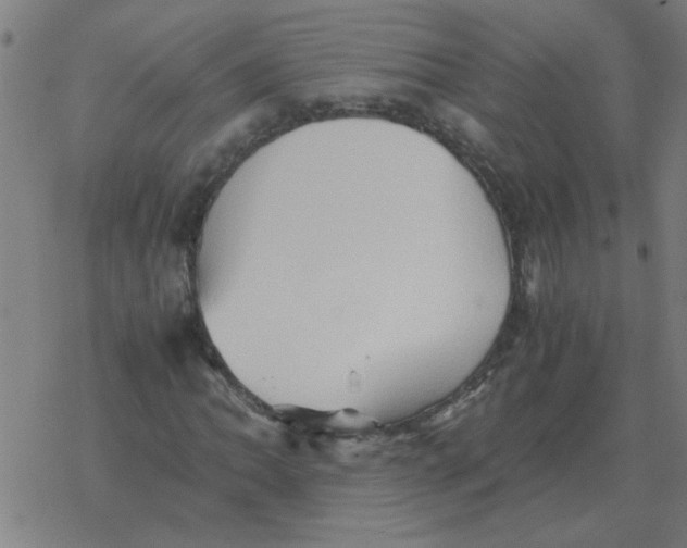 X0000077391062200611101749