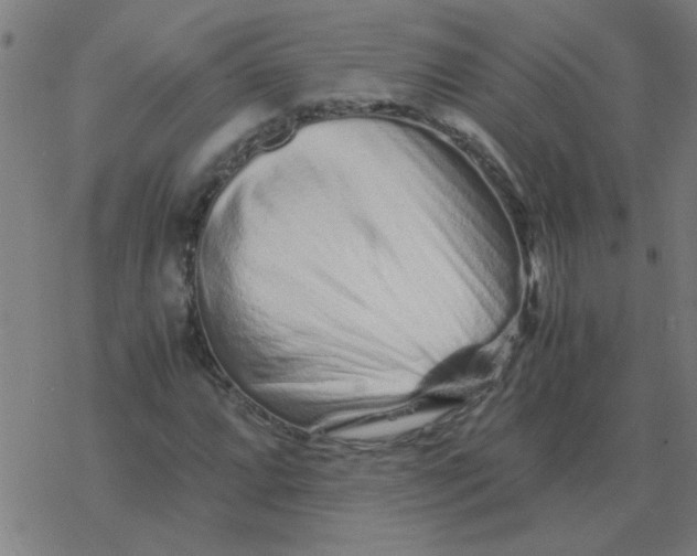 X0000077391064200611101749