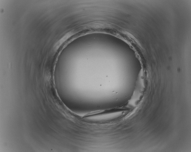 X0000077391065200611101749