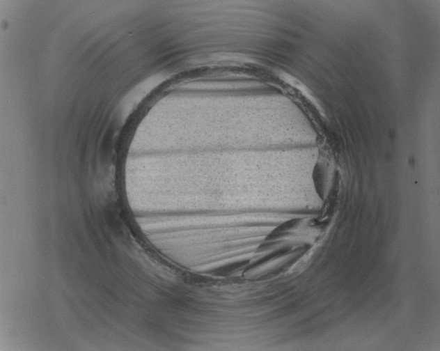 X0000077391066200611101749