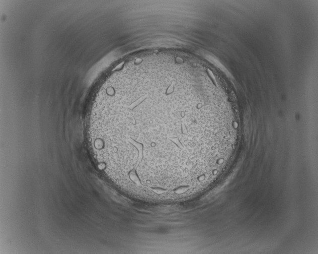 X0000077391067200611101749