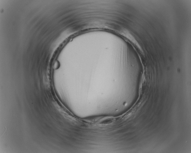 X0000077391068200611101749