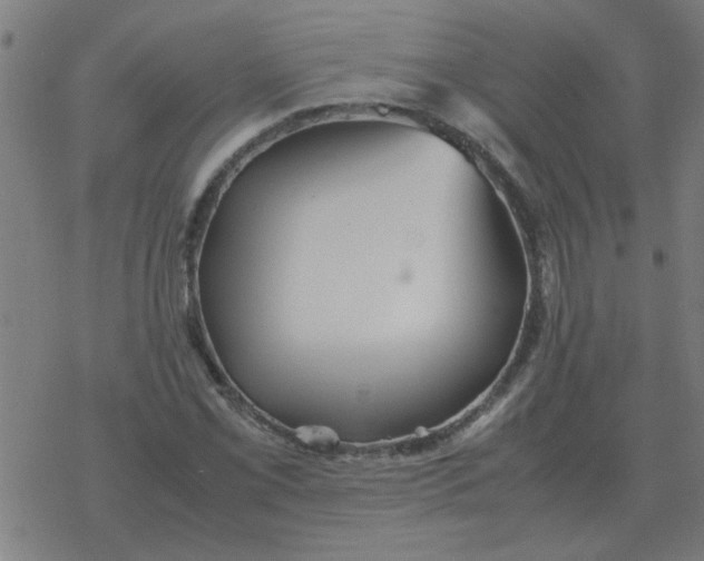 X0000077391069200611101749