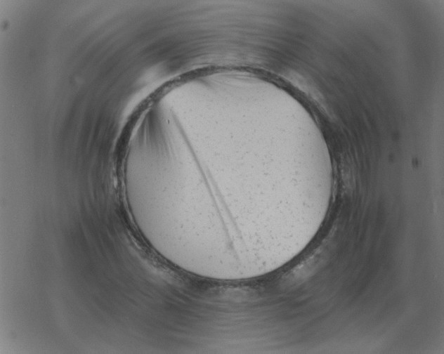 X0000077391070200611101749