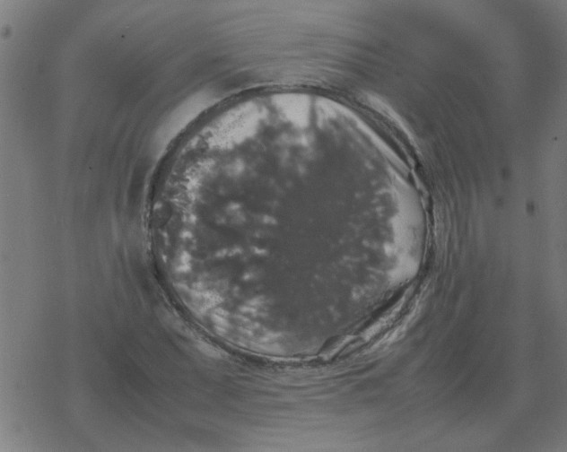 X0000077391071200611101749