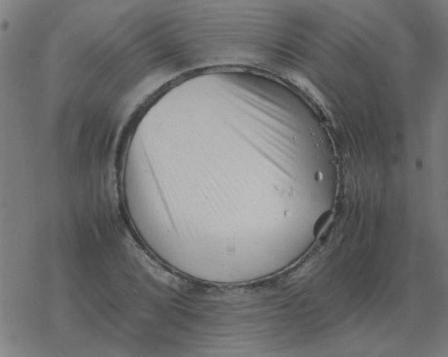 X0000077391072200611101748