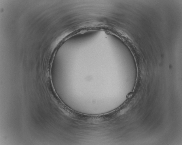 X0000077391073200611101748