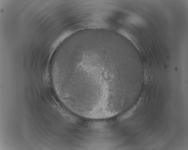 X0000077391074200611101748