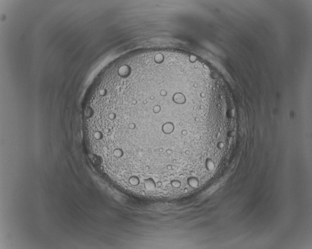 X0000077391075200611101748