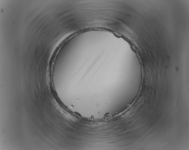 X0000077391076200611101748