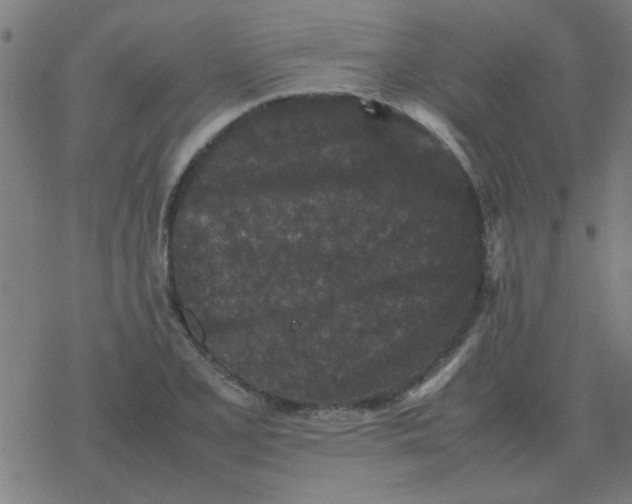 X0000077391077200611101748