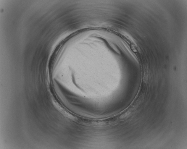 X0000077391080200611101748