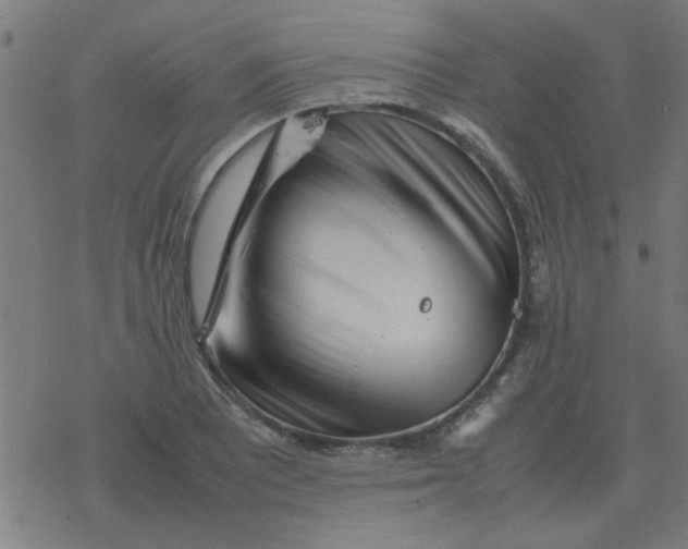 X0000077391081200611101748