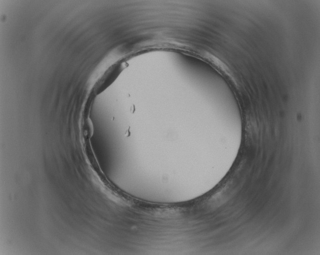 X0000077391082200611101748