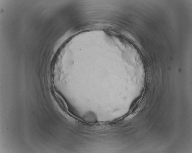 X0000077391083200611101748