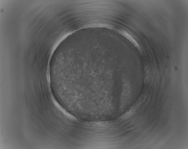 X0000077391084200611101748