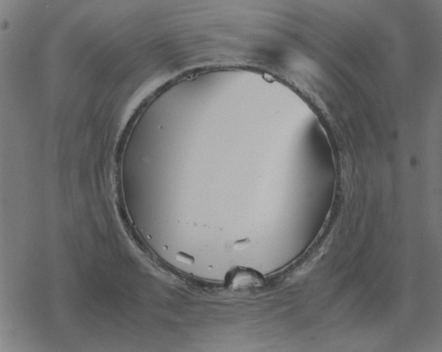 X0000077391085200611101748