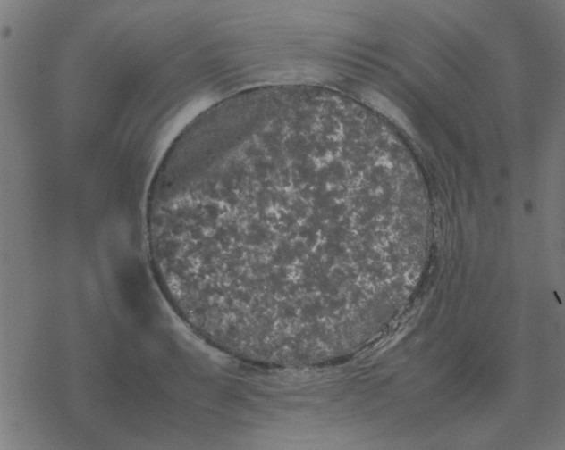 X0000077391087200611101748