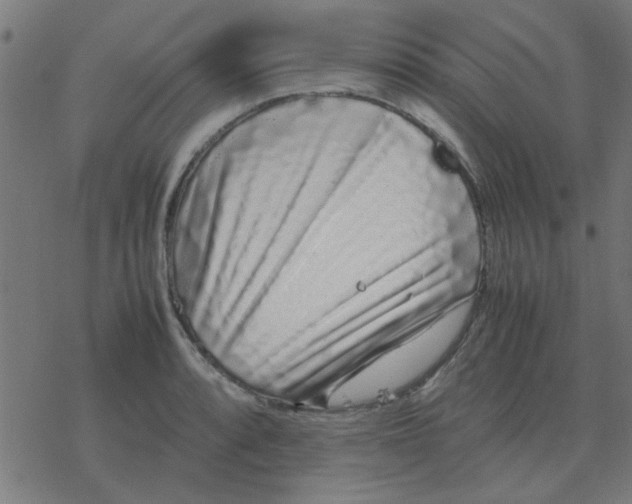 X0000077391088200611101748