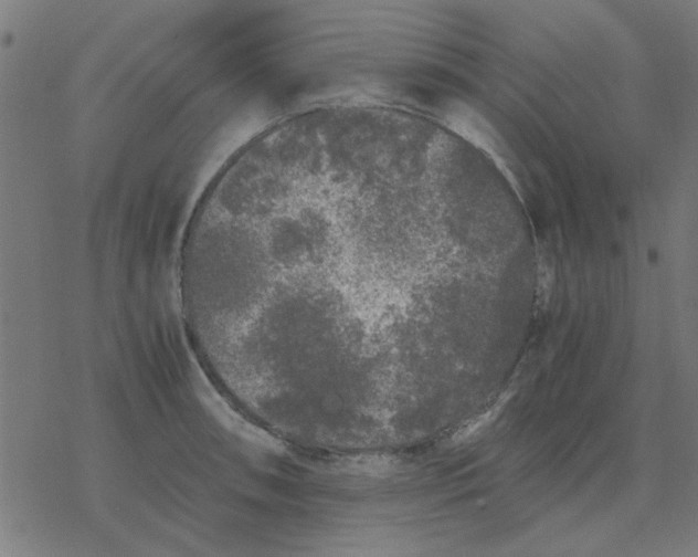 X0000077391090200611101748