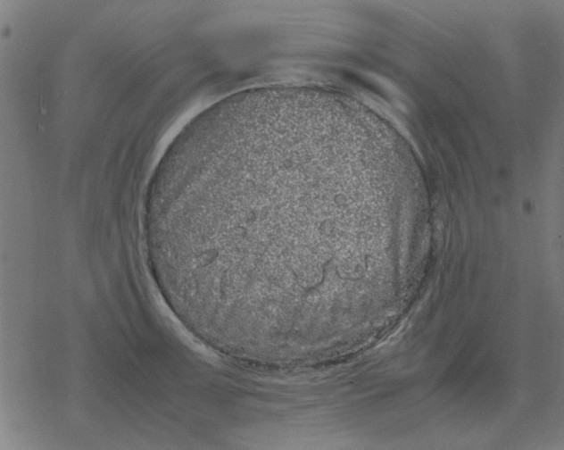 X0000077391091200611101748