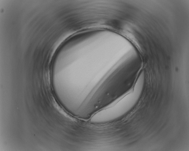 X0000077391092200611101748