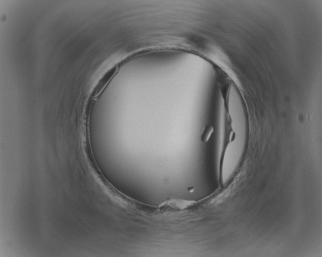 X0000077391093200611101748