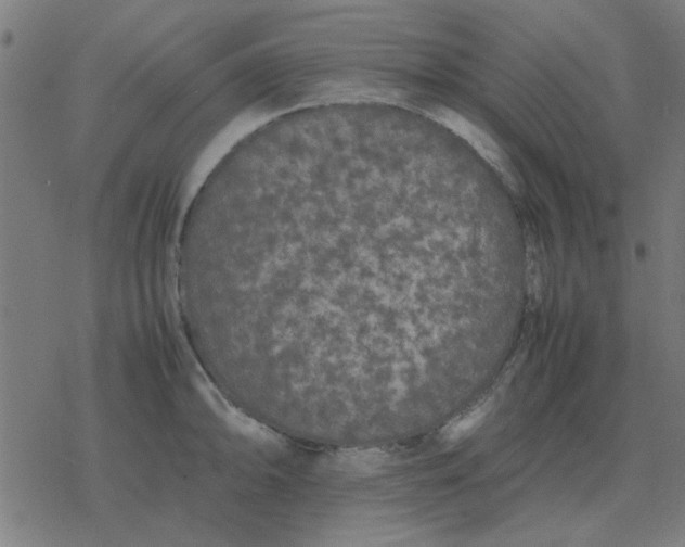 X0000077391094200611101748