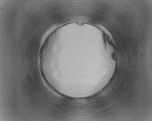 X0000077391096200611101748