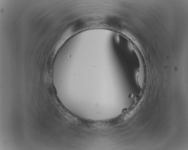 X0000077391097200611101748