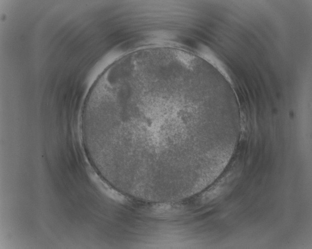 X0000077391098200611101748