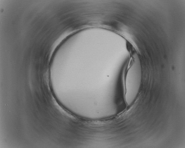 X0000077391100200611101748