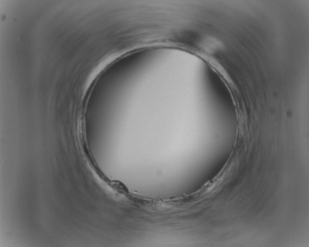 X0000077391101200611101748