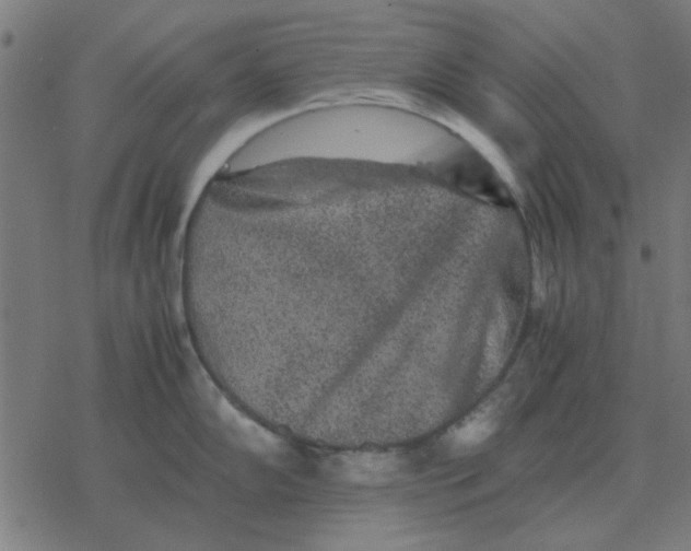 X0000077391102200611101748